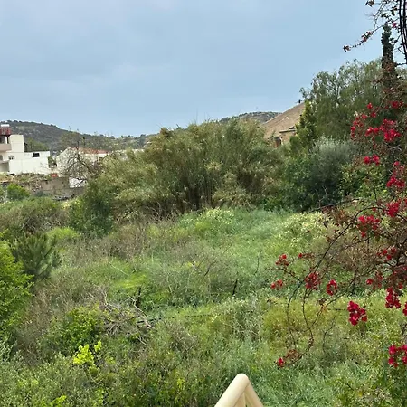 Aparthotel Agiazi Vacation Pitsidia